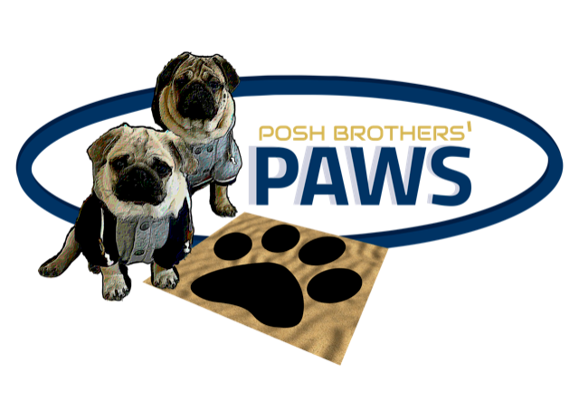 Posh Brothers World